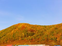 -五营国家森林公园