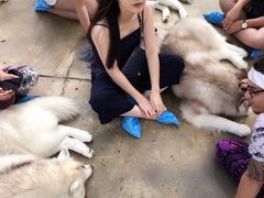 -TrueLove @ Neverland (Husky Cafe)