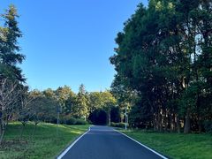 -宜兴龙背山森林公园