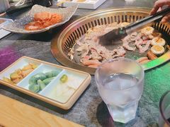 -杨记齐齐哈尔烤肉(五莲路店)