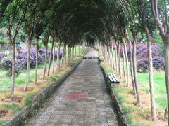 -武汉紫薇都市田园