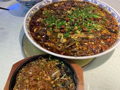 -新概念来凤鱼(璧山店)