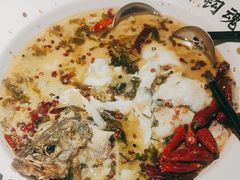 -宋小谨(惠安禹洲店)