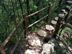 -塔云山