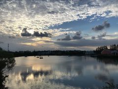 -上海长兴岛郊野公园