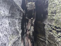 -梭布垭石林景区