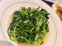 清炒鸡毛菜-西安饭庄·非遗陕菜(钟楼店)