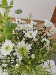 -HEYAN荷妍专业脱毛连锁机构