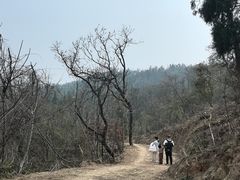 -青龙山国家森林公园