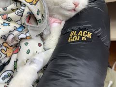 -北京观赏动物医院·24小时大型综合·猫专科·异宠专科