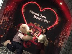 -济州岛泰迪熊博物馆