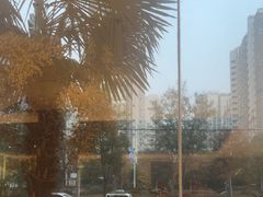 -葛记红焖羊肉(和平路形象店)