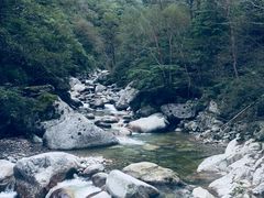 -青峰峡国家森林公园