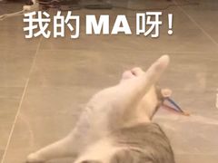 -成都你六姐·牛肉冒菜·麻辣香锅(长泰广场店)