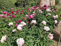 -长春公园(普阳街道)