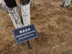 -厦门悦华酒店
