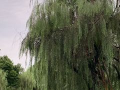 -沙河三洞古桥公园