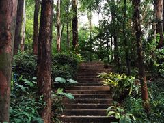 景点-南岗山公园