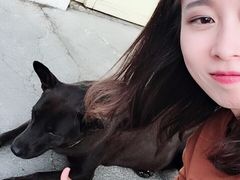 -欧恋洋葱冰淇淋绿豆馔