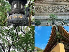 -东极岛景区