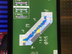 -米兰马尔彭萨国际机场