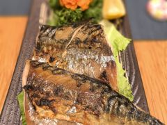 -樱の千渡日式料理·铁板烧•烧鸟(金盛田广场店)