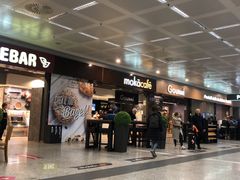 -米兰马尔彭萨国际机场