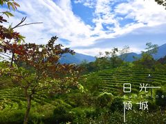 -东部华侨城