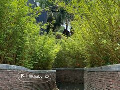 -凤阁楼果木烧鹅(鹤山陈山店)