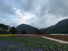 -广州市石门国家森林公园