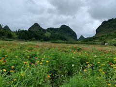 -靖西鹅泉风景区