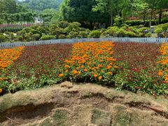 -南山植物园