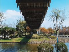 -上海鲜花港