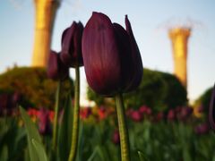 -长春公园(普阳街道)