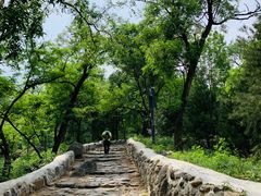 -阳台山自然风景区