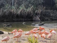 -千岛湖东南湖区