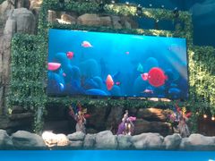 -青岛东方影都融创水世界