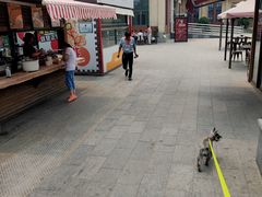 -藁城北服务区-停车场