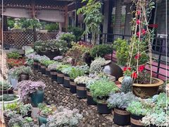 -山菌美食苑(振兴路店)