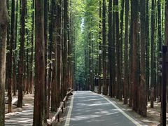 -山王坪喀斯特国家生态公园
