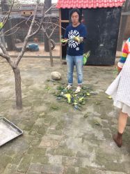 -上美四季动物农场