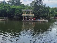 -晓港公园