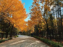 -森林公园(尖草坪区)