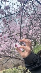 点击看大图 -小薛美甲美睫