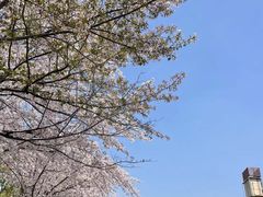 -霸道川面馆(张江店)