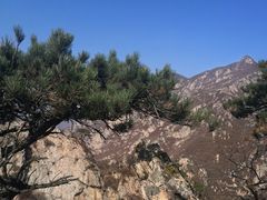 -大连天门山国家森林公园