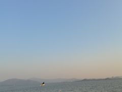 -深圳湾公园(南山区)