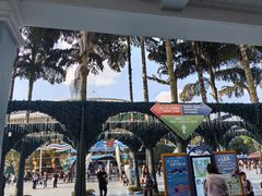 -海合安成都极地海洋公园