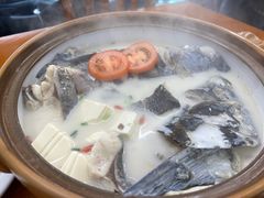 -全乐鱼馆·淳牌有机鱼直营店