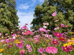 -上海共青森林公园